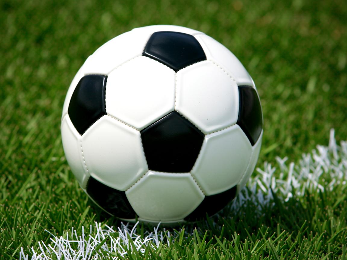 开云体育官网app-四国蝶泳划水精度大数据揭示战术倾向，蝶泳的划水动作轨迹是三维的