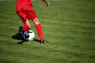 开云体育在线登入-体育新闻中心构建体育赛事全媒体传播体系，体育赛事的媒体宣传需要向媒体经营单位直接支付费用  第3张